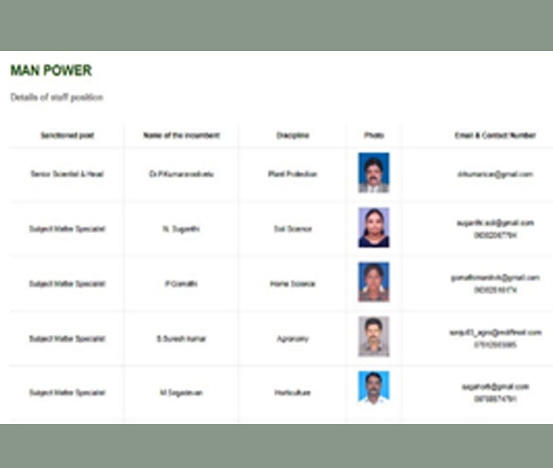 Daily Market Information DMI